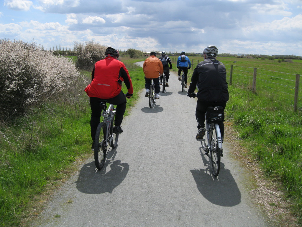 West Canvey Marsh